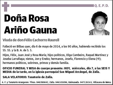 ARIÑO GAUNA,ROSA