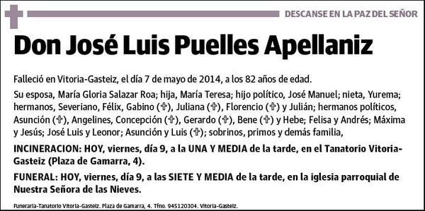 PUELLES APELLANIZ,JOSE LUIS