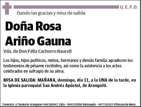 ARIÑO GAUNA,ROSA