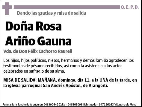 ARIÑO GAUNA,ROSA