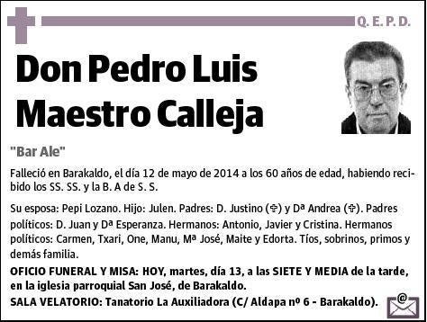 MAESTRO CALLEJA,PEDRO LUIS