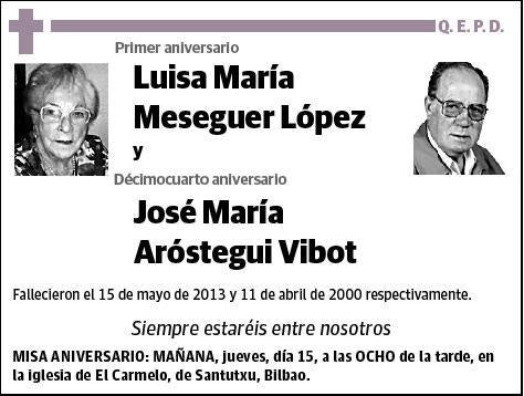 MESEGUER LOPEZ Y JOSE MARIA AROSTEGUI VIBOT,LUISA MARIA