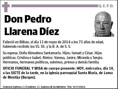 LLARENA DIEZ,PEDRO