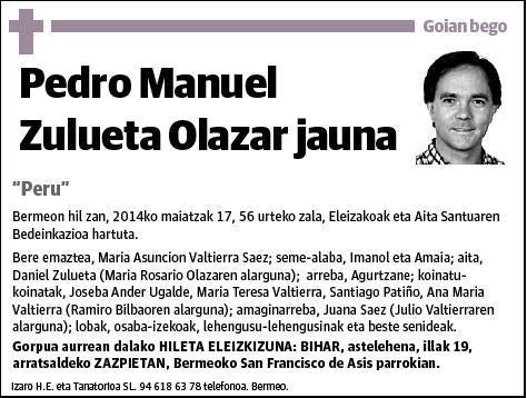 ZULUETA OLAZAR,PEDRO MANUEL