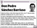 SANCHEZ BARRIUSO,PEDRO