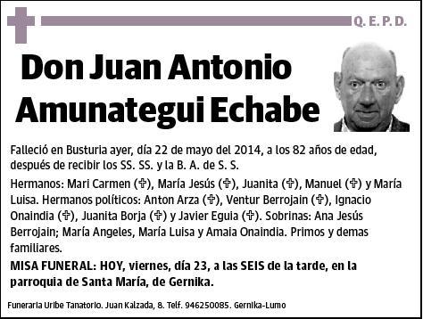 AMUNATEGUI ECHABE,JUAN ANTONIO