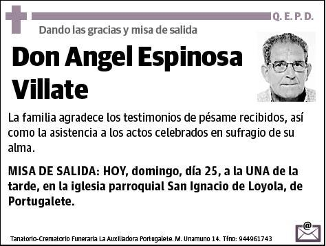 ESPINOSA VILLATE,ANGEL