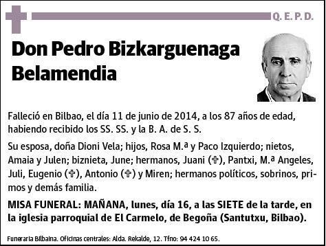 BIZKARGUENAGA BELAMENDIA,PEDRO