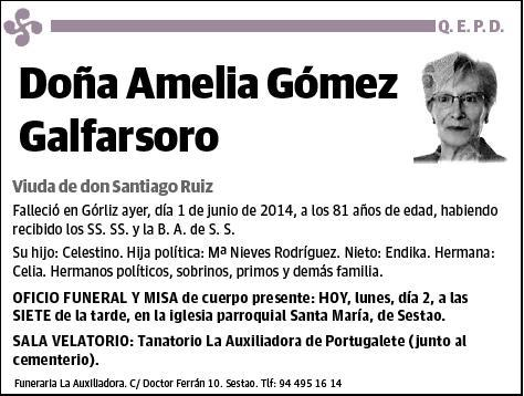 GOMEZ GALFARSORO,AMELIA