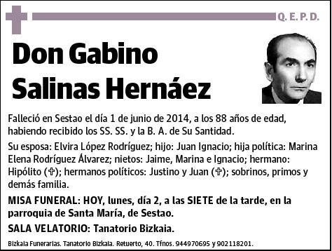 SALINAS HERNAEZ,GABINO