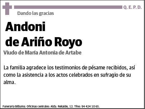 DE ARIÑO ROYO,ANDONI