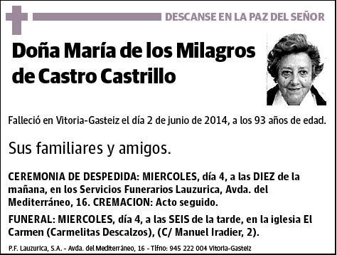 DE CASTRO CASTRILLO,MARIA DE LOS MILAGROS