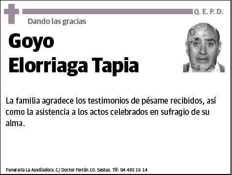 ELORRIAGA TAPIA,GOYO