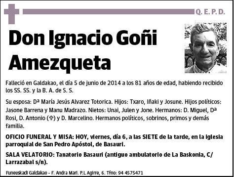 GOÑI AMEZQUETA,IGNACIO