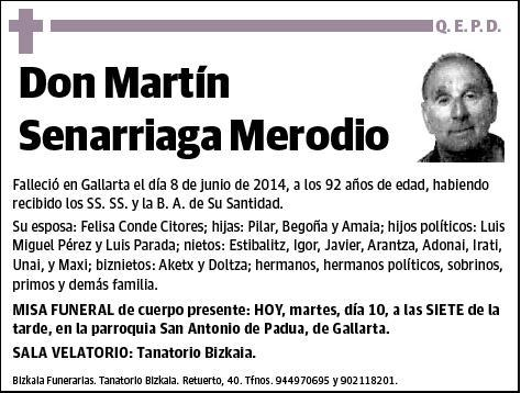 SENARRIAGA MERODIO,MARTIN