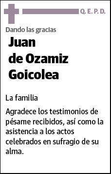 DE OZAMIZ GOICOLEA,JUAN