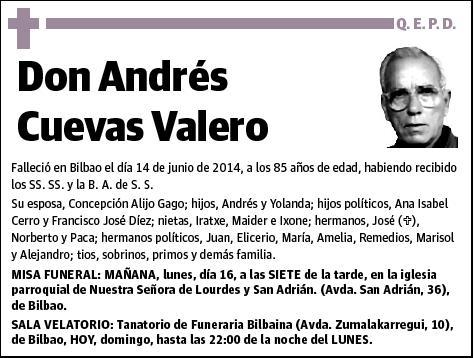 CUEVAS VALERO,ANDRES