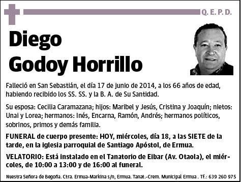 GODOY HORRILLO,DIEGO