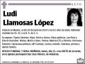 LLAMOSAS LOPEZ,LUDI