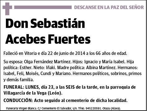 ACEBES FUERTES,SEBASTIAN