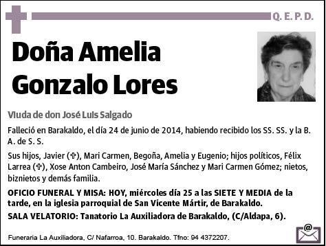 GONZALO LORES,AMELIA