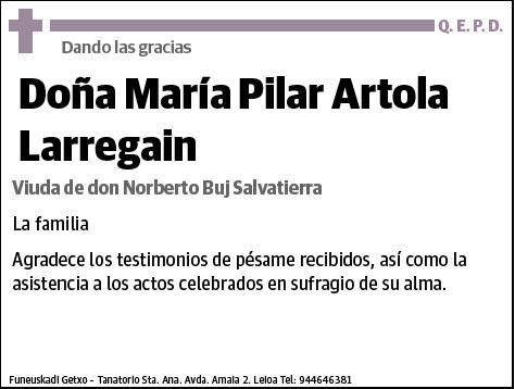 ARTOLA LARREGAIN,MARIA PILAR