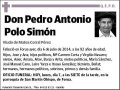 POLO SIMON,PEDRO ANTONIO