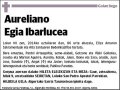 EGIA IBARLUCEA,AURELIANO