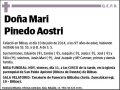 PINEDO AOSTRI,MARI