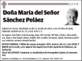 SANCHEZ PELAEZ,MARIA DEL SEÑOR