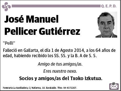 PELLICER GUTIERREZ,JOSE MANUEL