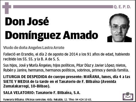 DOMINGUEZ AMADO,JOSE