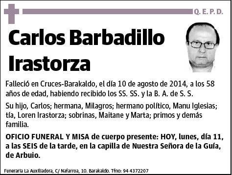 BARBADILLO IRASTORZA,CARLOS