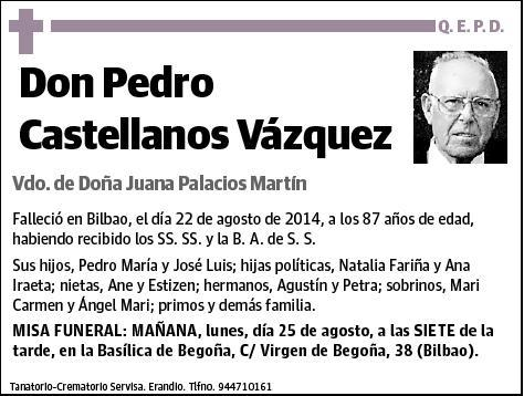 CASTELLANOS VAZQUEZ,PEDRO