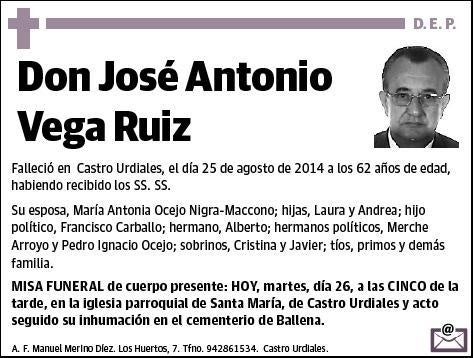 VEGA RUIZ,JOSE ANTONIO