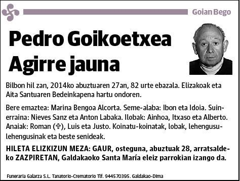 GOIKOETXEA AGIRRE,PEDRO