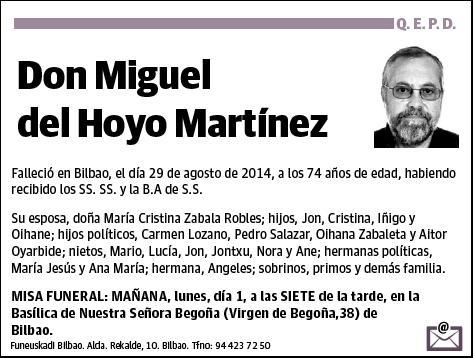 DEL HOYO MARTINEZ,MIGUEL