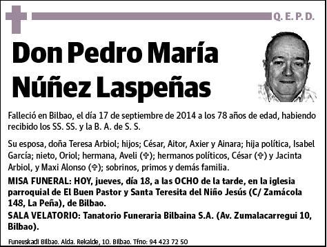 NUÑEZ LASPEÑAS,PEDRO MARIA