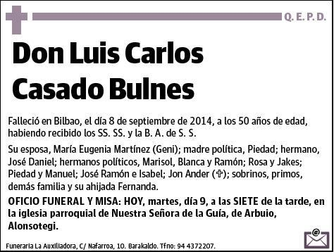 CASADO BULNES,LUIS CARLOS