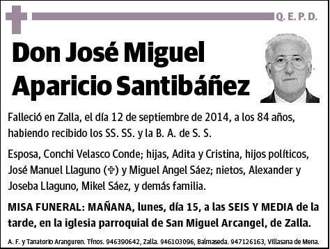 APARICIO SANTIBAÑEZ,JOSE MIGUEL