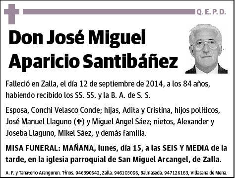 APARICIO SANTIBAÑEZ,JOSE MIGUEL