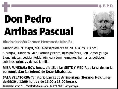 ARRIBAS PASCUAL,PEDRO