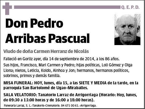 ARRIBAS PASCUAL,PEDRO