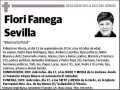 FANEGA SEVILLA,FLORI
