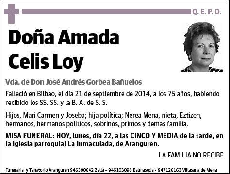 CELIS LOY,AMADA