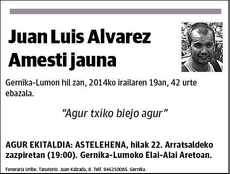 ALVAREZ AMESTI,JUAN LUIS