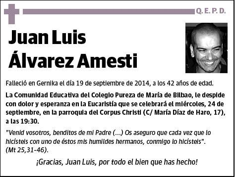 ALVAREZ AMESTI,JUAN LUIS