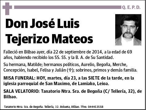 TEJERIZO MATEOS,JOSE LUIS