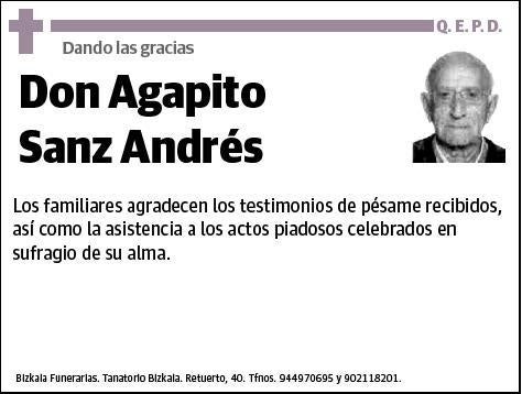 SANZ ANDRES,AGAPITO