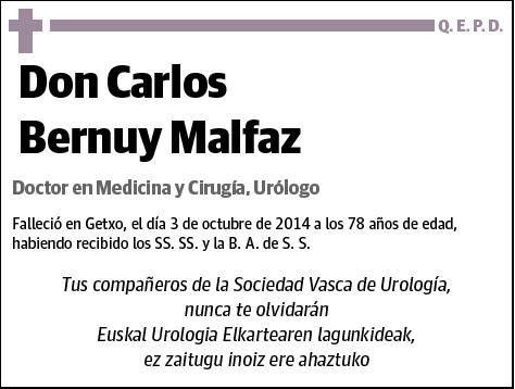 BERNUY MALFAZ,CARLOS